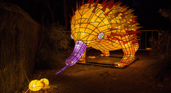 taronga-3