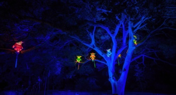 taronga-2